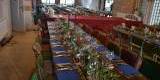 Stereo Catering Wesele w plenerze, Gdańsk - zdjęcie 6