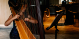 Harfa - oprawa muzyczna ślubu, Bielsko-Biała - zdjęcie 4