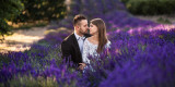 AFotografia - Profesjonalna naturalna fotografia, Tychy - zdjęcie 4