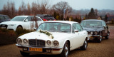Biały Jaguar XJ6 4.2 1974 | Auto do ślubu Jarosław, podkarpackie - zdjęcie 2