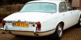 Biały Jaguar XJ6 4.2 1974 | Auto do ślubu Jarosław, podkarpackie - zdjęcie 4