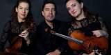 VISION TRIO -trio smyczkowe, Kraków - zdjęcie 5
