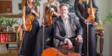 Oprawa muzyczna ślubów i uroczystości, Lublin - zdjęcie 5