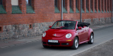 Garbus Cabrio Auto Samochód do ślubu, Szczecin - zdjęcie 6