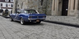 Zabytkowy Ford Mustang 1967 rok, Kraków - zdjęcie 6