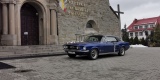 Zabytkowy Ford Mustang 1967 rok, Kraków - zdjęcie 3