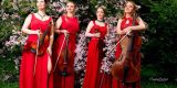 Kwartet smyczkowy na ślub i wesele - Brilliant String Quartet, Łódź - zdjęcie 2