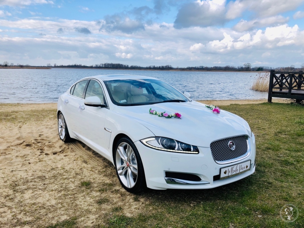 Samochód Auto do ślubu, na wesele Jaguar XF, Leszno - zdjęcie 1