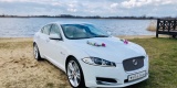 Samochód Auto do ślubu, na wesele Jaguar XF, Leszno - zdjęcie 6