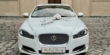 Samochód Auto do ślubu, na wesele Jaguar XF | Auto do ślubu Leszno, wielkopolskie - zdjęcie 3