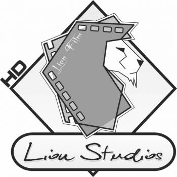 Lion Studios | Profesjonalne filmy ślubne | Kamerzysta na wesele Rzeszów, podkarpackie