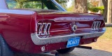 FORD MUSTANG 1967 Kultowy Old Timer do ślubu, Wrocław - zdjęcie 3