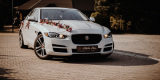 Dreamwedding-art biała perła jaguar xe 3.0 Premium biały 340 KM skóra, Bulowice - zdjęcie 5