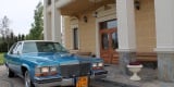 Bentley, Cadillac, Mustang, Mercedes SL - Samochody do Ślubu, Rokietnica - zdjęcie 2