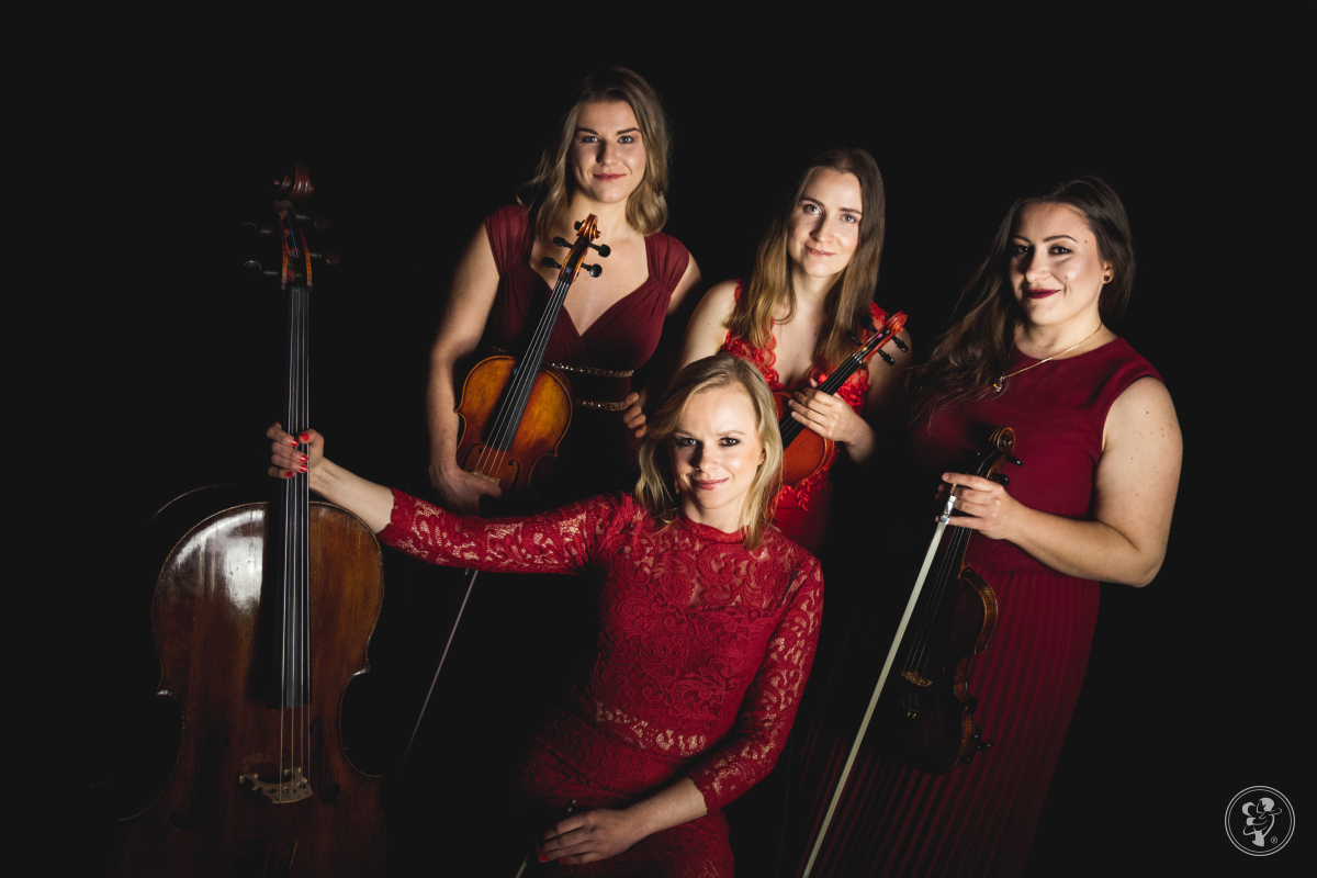 Golden Star Music Group Oprawa Muzyczna Ceremonii i Eventów, Szczecin - zdjęcie 1