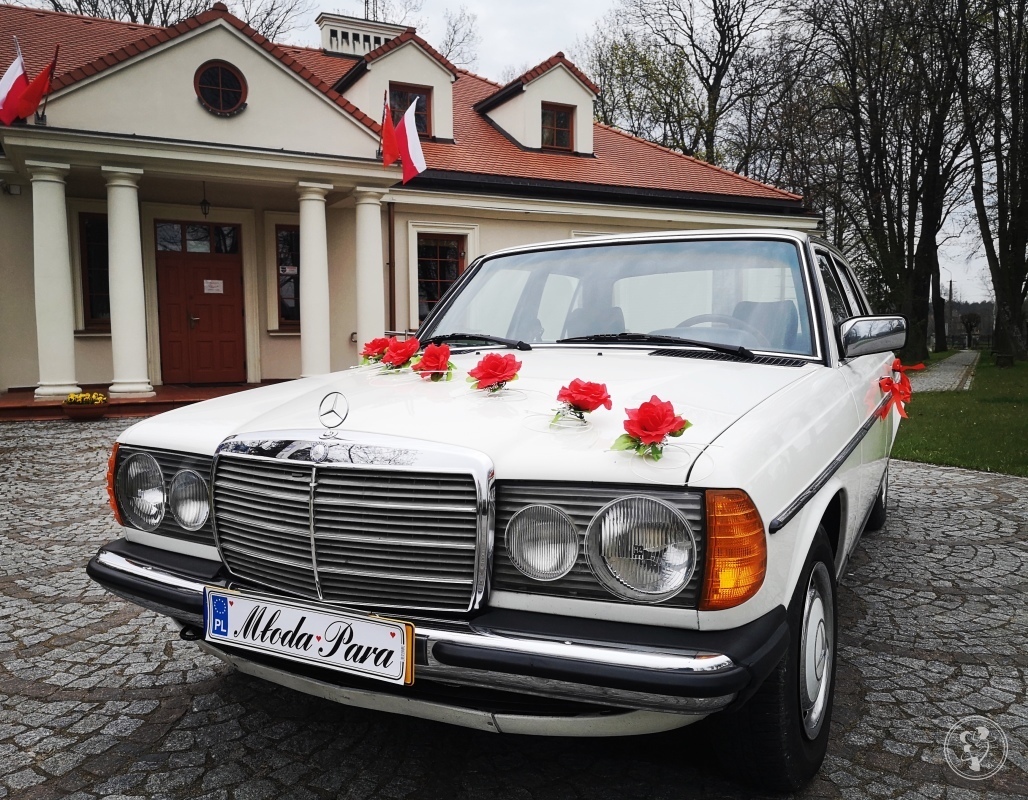 🥇 Auto do ślubu Mercedes Biały Retro Klasyk