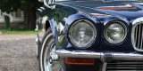 Zabytkowy Jaguar Daimler XJ6 Retro Auto Samochód do Ślubu ślub wynajem | Auto do ślubu Skała, małopolskie - zdjęcie 4