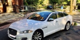 Jaguar XJ | Auto do ślubu Katowice, śląskie - zdjęcie 2