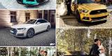 Złoty Mustang,Corvetta,Maserati,Camaro,Audi ! OBSŁUGUJEMY CAŁĄ POLSKĘ, Katowice - zdjęcie 6