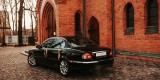 Auto do Ślubu - Klasyczny Jaguar, Sopot - zdjęcie 2