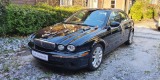 Auto do Ślubu - Klasyczny Jaguar | Auto do ślubu Sopot, pomorskie - zdjęcie 5