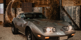 GALIMOTO Chevrolet Corvette GMC | Auto do ślubu Września, wielkopolskie - zdjęcie 7
