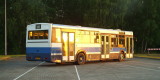 Escape Service - Autobus Jelcz | Wynajem busów Warszawa, mazowieckie - zdjęcie 3