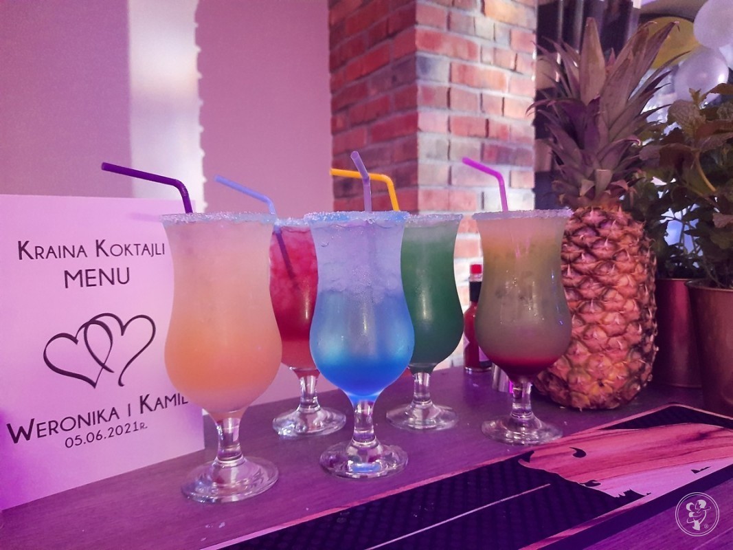 Kraina Koktajli – Drink Bar mobilny – Profesjonalna Obsługa barmańska, Olsztyn - zdjęcie 1