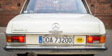 Beżowy Mercedes W115 1973 | Auto do ślubu Wrocław, dolnośląskie - zdjęcie 5