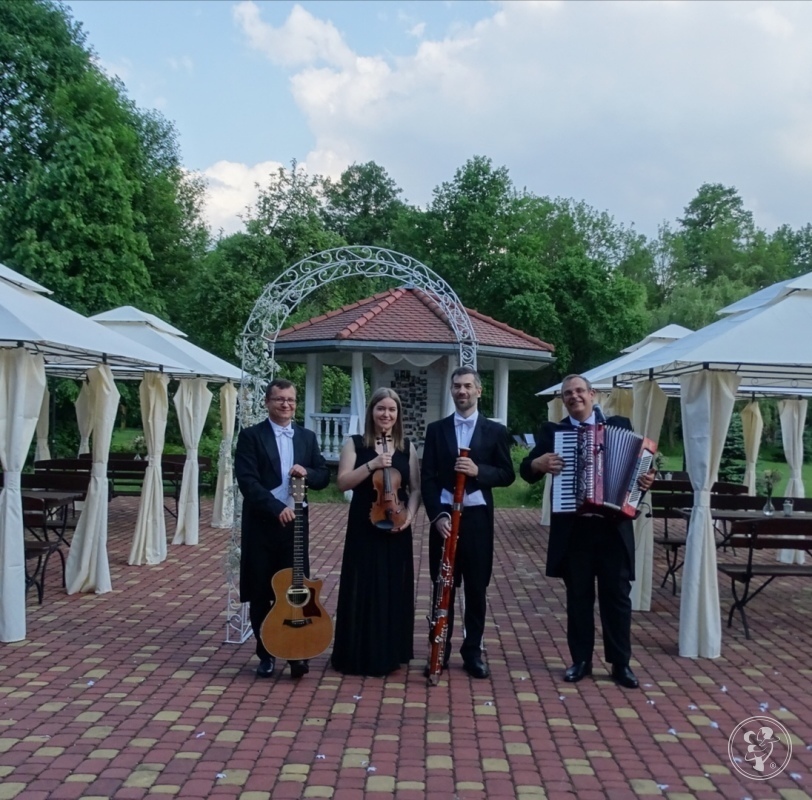 Zespół muzyczny Non-Stop, Bełchów - zdjęcie 1
