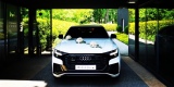 Najnowsze BIAŁE AUDI Q8 na Ślub Wesele | SUV | - luksusowe z klasą, Bielsko-Biała - zdjęcie 5