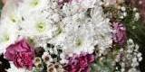 Pracownia florystyczna, dekoracje ślubne, wystrój sal weselnych | Dekoracje ślubne Nowodwór, lubelskie - zdjęcie 3