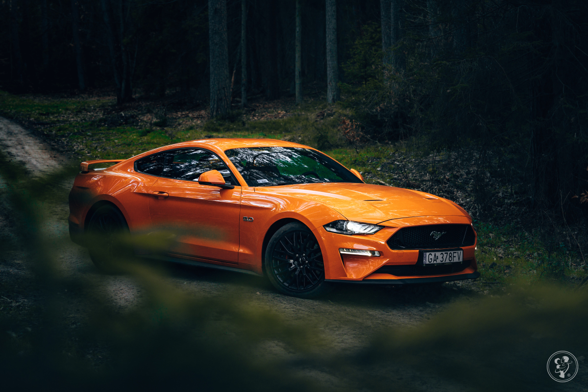 Ford Mustang GT 5.0 - poprowadź sam. | Auto do ślubu Gdynia, pomorskie - zdjęcie 1