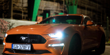 Ford Mustang GT 5.0 - poprowadź sam. | Auto do ślubu Gdynia, pomorskie - zdjęcie 2