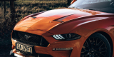 Ford Mustang GT 5.0 - poprowadź sam. | Auto do ślubu Gdynia, pomorskie - zdjęcie 3