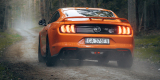 Ford Mustang GT 5.0 - poprowadź sam. | Auto do ślubu Gdynia, pomorskie - zdjęcie 4