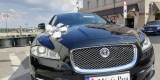 A może by tak Jaguar ....?, Warszawa - zdjęcie 2