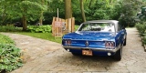 Zabytkowy Ford Mustang 1967 rok, Kraków - zdjęcie 4