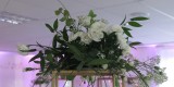 White Rose - dekoracje i florystyka | Dekoracje ślubne Bydgoszcz, kujawsko-pomorskie - zdjęcie 4