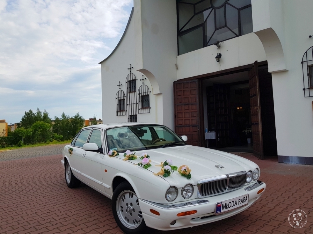 Zabytkowy Jaguar XJ z KLIMATYZACJĄ  Retro klasyk od JUST MARRIED Klima | Auto do ślubu Chełm, lubelskie - zdjęcie 1