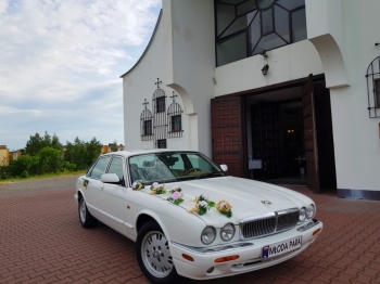 Zabytkowy Jaguar XJ z KLIMATYZACJĄ  Retro klasyk od JUST MARRIED Klima, Samochód, auto do ślubu, limuzyna Annopol