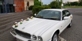 Zabytkowy Jaguar XJ z KLIMATYZACJĄ  Retro klasyk od JUST MARRIED Klima | Auto do ślubu Chełm, lubelskie - zdjęcie 2