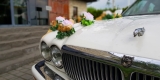 Zabytkowy Jaguar XJ z KLIMATYZACJĄ  Retro klasyk od JUST MARRIED Klima | Auto do ślubu Chełm, lubelskie - zdjęcie 3