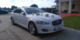 Biały Jaguar XJ Long | Auto do ślubu Lublin, lubelskie - zdjęcie 2