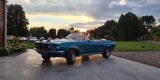 Ford Mustang CABRIO 1968 | Auto do ślubu Białystok, podlaskie - zdjęcie 3