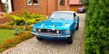 KLASYK! PRZEPIĘKNY FORD MUSTANG CABRIO! 1968!, Białystok - zdjęcie 4