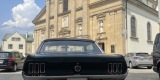 Ford Mustang Klasyk do Ślubu 1967, Gorlice - zdjęcie 5