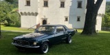 Ford Mustang Klasyk do Ślubu 1967, Gorlice - zdjęcie 6