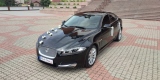 Auto do Ślubu Jaguar XF PREMIUM LUXURY | Auto do ślubu Białystok, podlaskie - zdjęcie 3