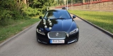 Auto do Ślubu Jaguar XF PREMIUM LUXURY, Białystok - zdjęcie 6